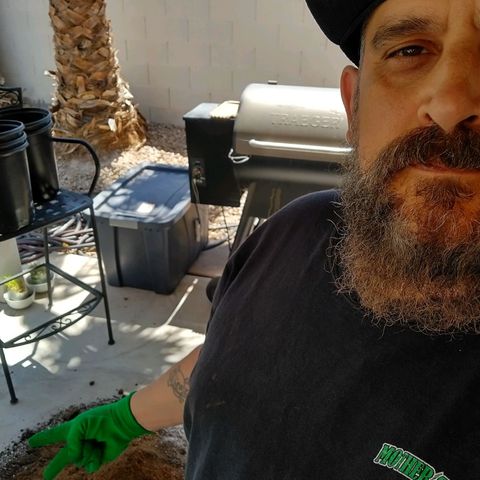 Blimburn Sour Diesel Mother growlog photo: Mixing soil