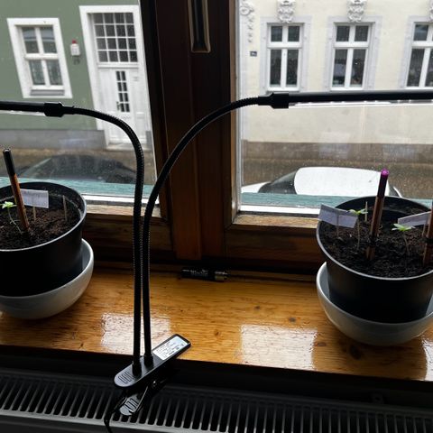 HulkBerry Automatic growlog timeline photo