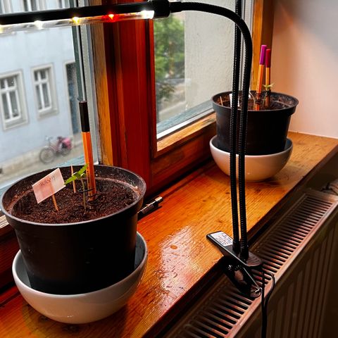 HulkBerry Automatic growlog timeline photo