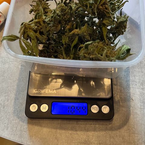 HulkBerry Automatic growlog timeline photo