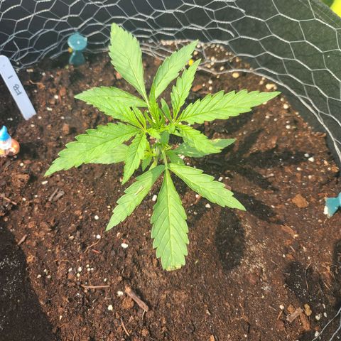 FB 1 growlog timeline photo