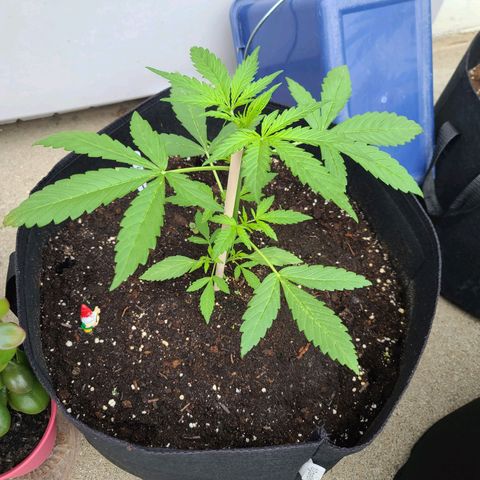 FB 2 growlog timeline photo