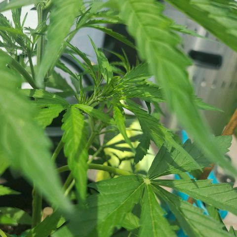 FB 1 growlog timeline photo