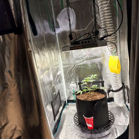Bakers Man  growlog timeline photo