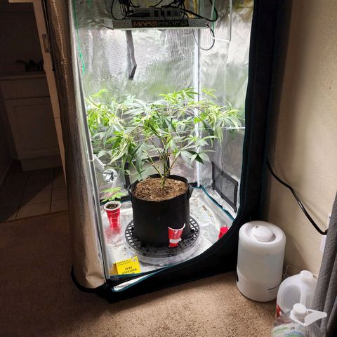 Bakers Man  growlog timeline photo