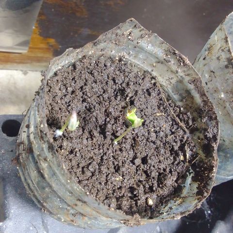 Gc growlog photo: :)