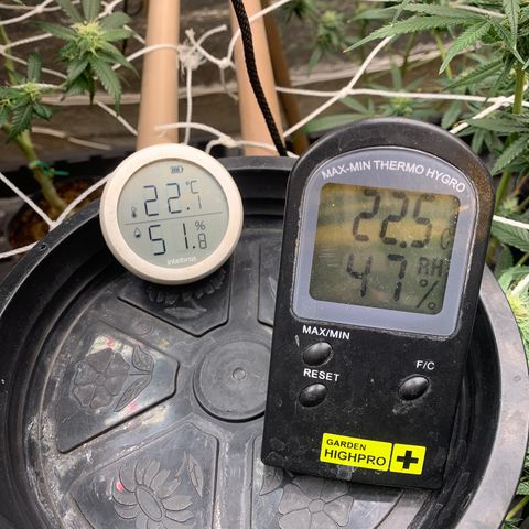 Indoor growlog timeline photo