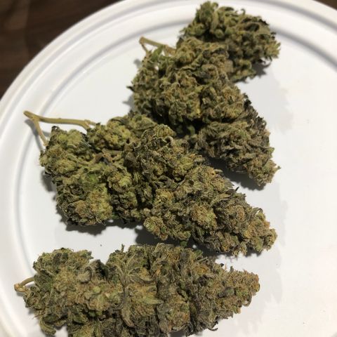 Indoor growlog timeline photo