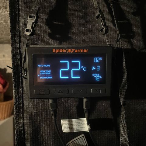 Jamaican Dream growlog photo: 09:45 - 22grad
14:00 - 16grad 