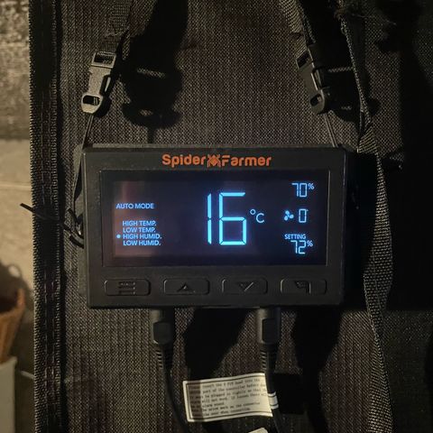 Jamaican Dream growlog photo: 09:45 - 22grad
14:00 - 16grad 