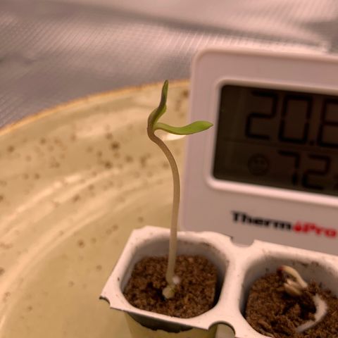 GC #1  growlog timeline photo