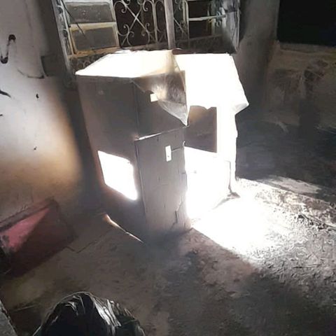 Limonada growlog photo: Estan puestas 3n un tipo casa ala terraza lesda la lus del dia y acompleto el siclo prendiendo el led callandocasi la noche. 18/6 