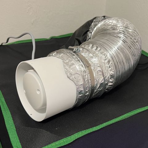 Forbidden Cherry Auto growlog timeline photo