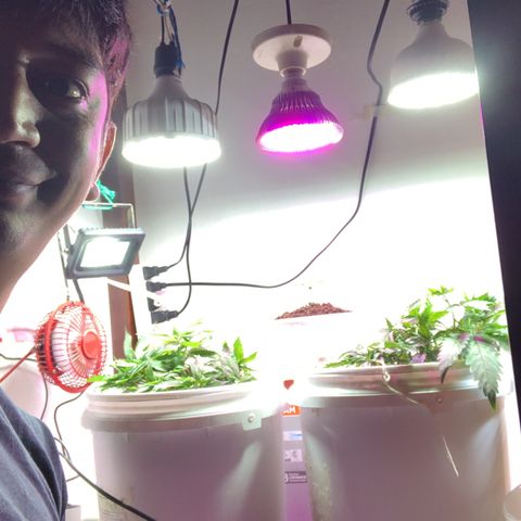 Genética desconocida growlog timeline photo