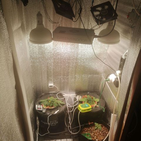 Big Devil Auto growlog photo: Сегодня борд впер