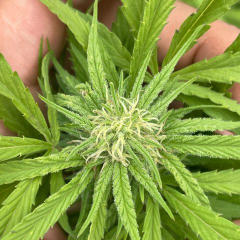 Orange juice(??? growlog timeline photo