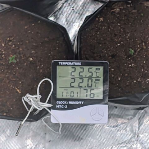 Member OG growlog photo: Parámetros de habiente y hora, con los dos humidificadores prendidos ventilador en bajo extractor tapado.