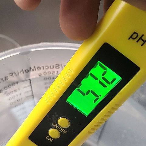Member OG growlog timeline photo