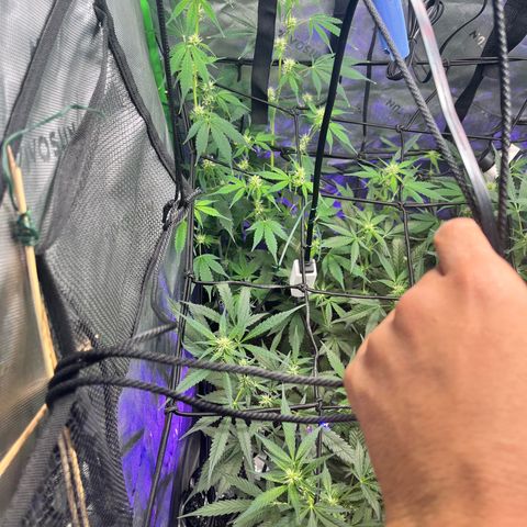 Jada growlog timeline photo