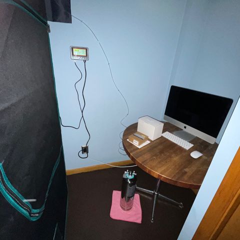 Pineapple Express P3 growlog photo: 9:45pm-
Got everything set up, 5 tubes (1 in the center and 1 in each corner)  just waiting for that little red needle to reach 30-40ish kg/cm. Probably better to let them recover a bit more before introducing co2 anyways
CO2 controller is sick, has a light sensor as well that starts co2 when the lights turn on and cuts it when the go out. Quiet alarm but the other sensor on the nutrient bar has a louder one and would def also sound. If it got too high.
Haven’t noted this yet but have constant thunderstorm sounds playing on the iMac on some goofy shit, makes tending to the plants more enjoyable for me and they might like it who knows.
