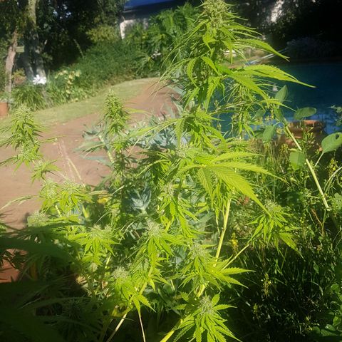D-day 1 growlog timeline photo