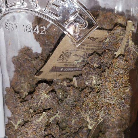 Banana Purple Punch Automatic growlog timeline photo