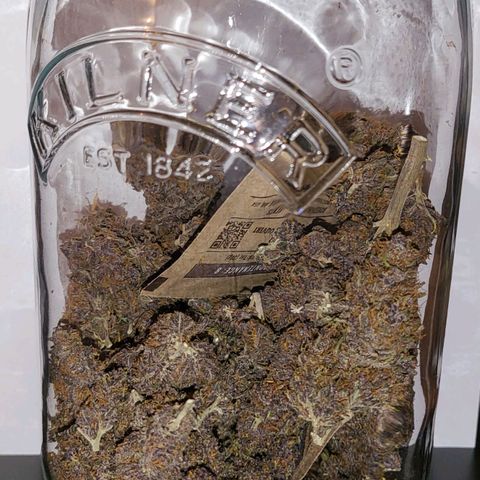 Banana Purple Punch Automatic growlog timeline photo