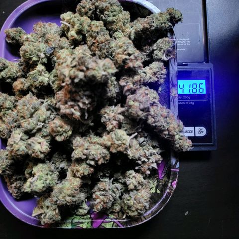 Happy Hour - Wizard Tree's growlog timeline photo