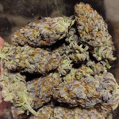 Tropicanna Banana, Ice cream cake, Biscotti Minz, Runtz Layer cake  growlog photo: Runtz Layer Cake