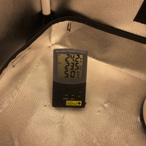 Super Lemon Haze growlog photo: Segue vegetativo, foi nutrida hoje para futura desfoliação no dia 21/08. 
