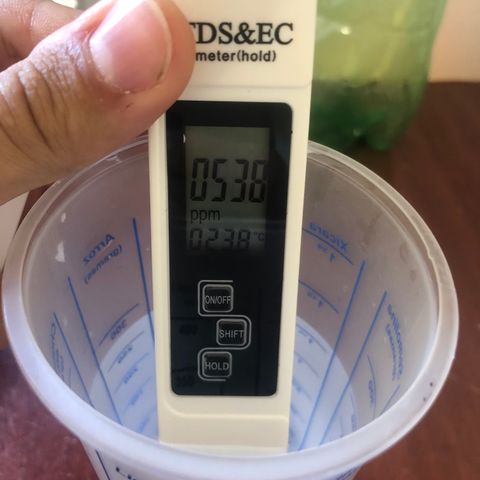 Super Lemon Haze growlog photo: 5 dia de flora. Tem crescido e bebido mais água.