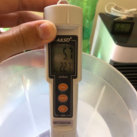 Super Lemon Haze growlog photo: Valor com a água vibrando, valor da água parada, 5,8