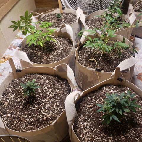 13 growlog photo: 9 8
13 12
7 10