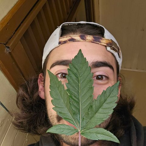 Amnesia Haze growlog photo: Linda !!!😍😍😍