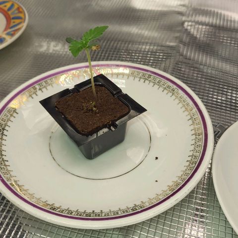 Jolanda growlog timeline photo