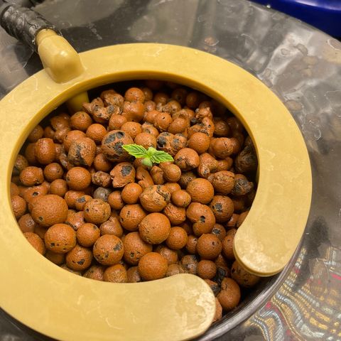 Auto Chem Cookies growlog timeline photo