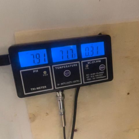 Auto Apples Bananas growlog photo: RDWC System with top feed build. 