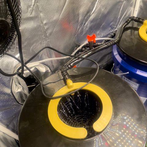 Auto Apples Bananas growlog photo: RDWC System with top feed build. 