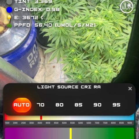 Auto Apples Bananas growlog timeline photo