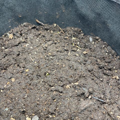 Babys try one growlog timeline photo