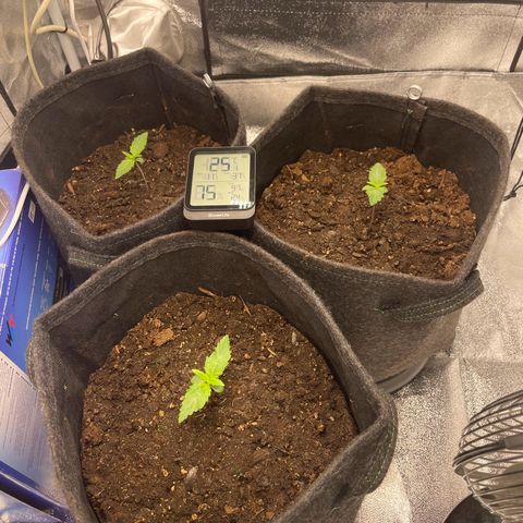 Babys try one growlog timeline photo