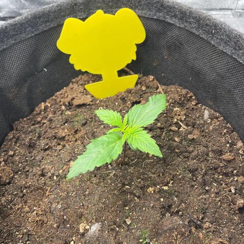 Babys try one growlog timeline photo