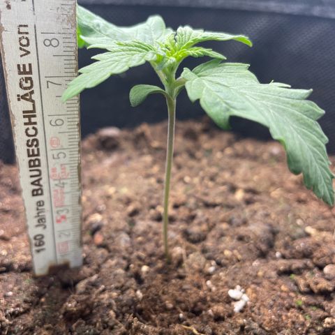 Babys try one growlog timeline photo