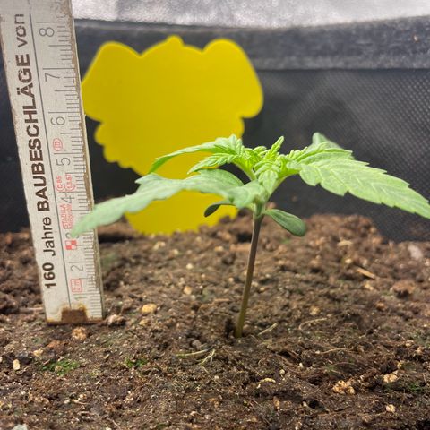 Babys try one growlog timeline photo