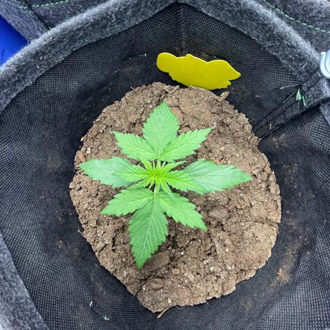 Babys try one growlog timeline photo