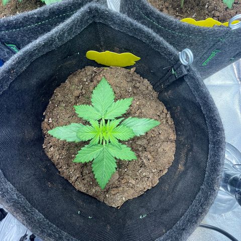 Babys try one growlog timeline photo