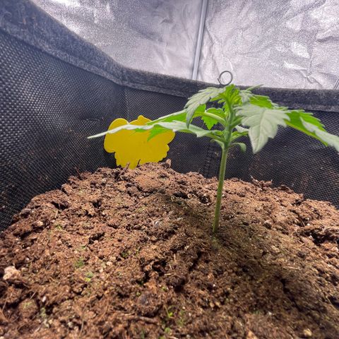 Babys try one growlog timeline photo