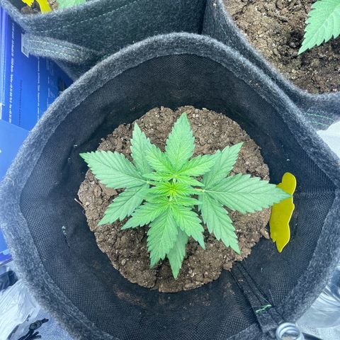 Babys try one growlog timeline photo
