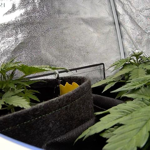 Babys try one growlog timeline photo