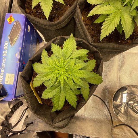 Babys try one growlog timeline photo